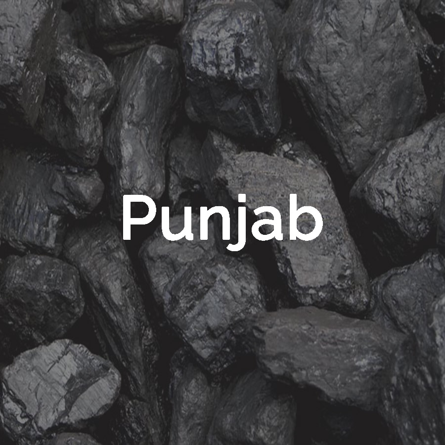 Lignite USA Indonesian Call Supplier In Punjab